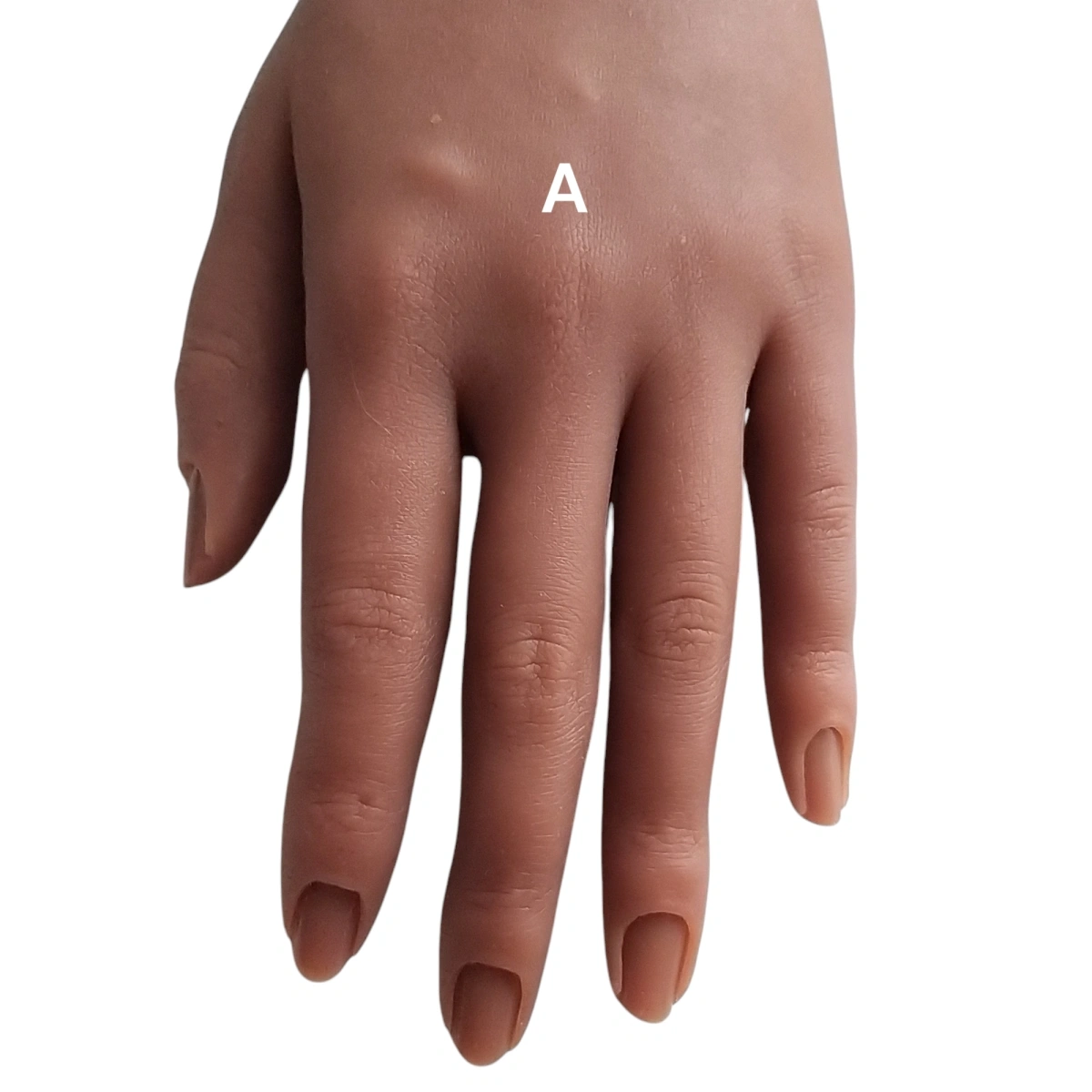 product-image-120